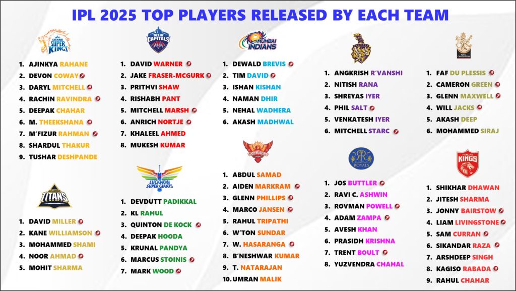 IPL 2025 Complete Released Players List - Full Details Inside